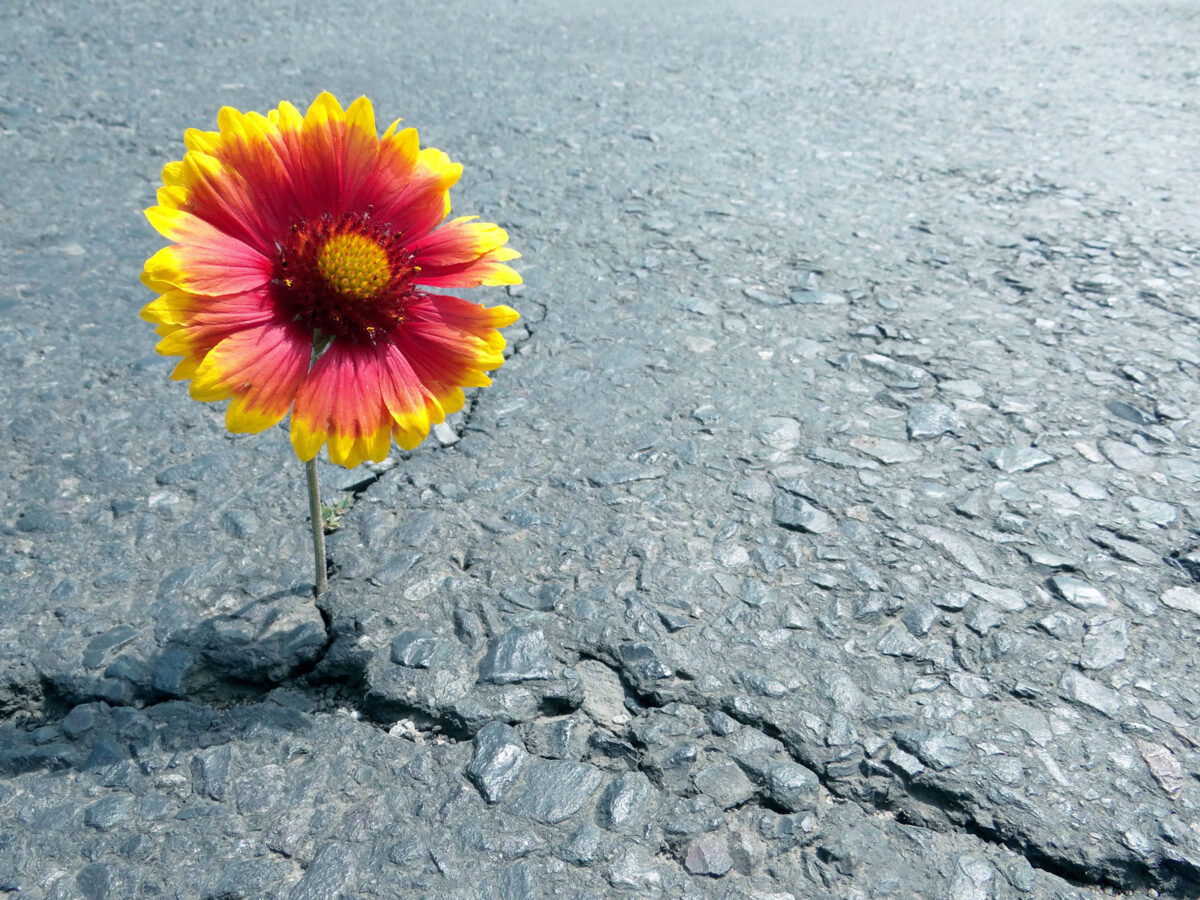 Ayurveda Dosha - potential weakness